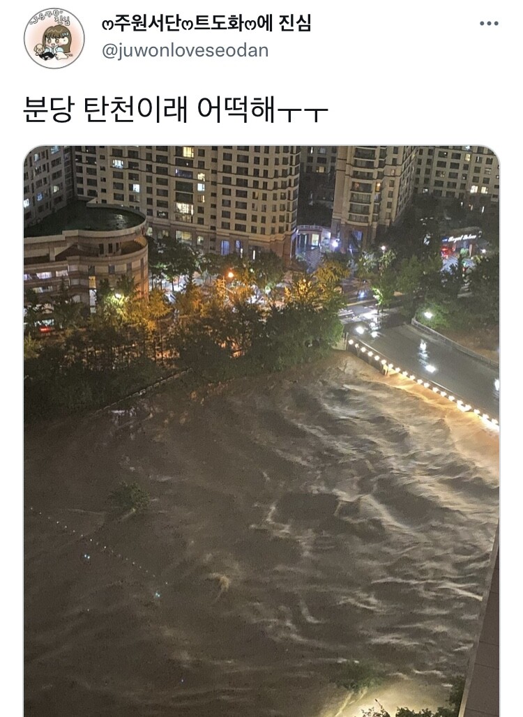 분당 탄천 근황_1.jpeg