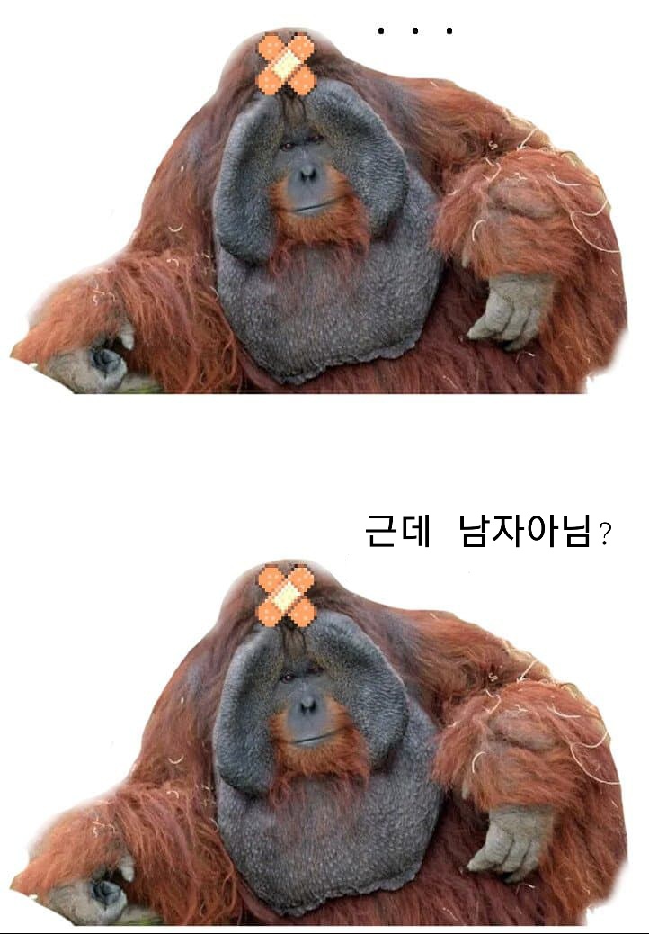 길티기어) 브리짓 요약_3.jpg