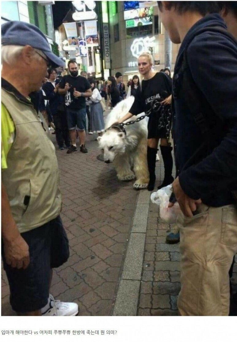 (애완동물) 입마개 필요하다 vs 필요 없다 논란.JPG_1.jpeg