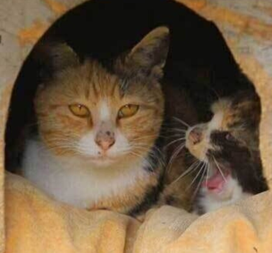 한국기행) 수제육포.jpg_4.jpg