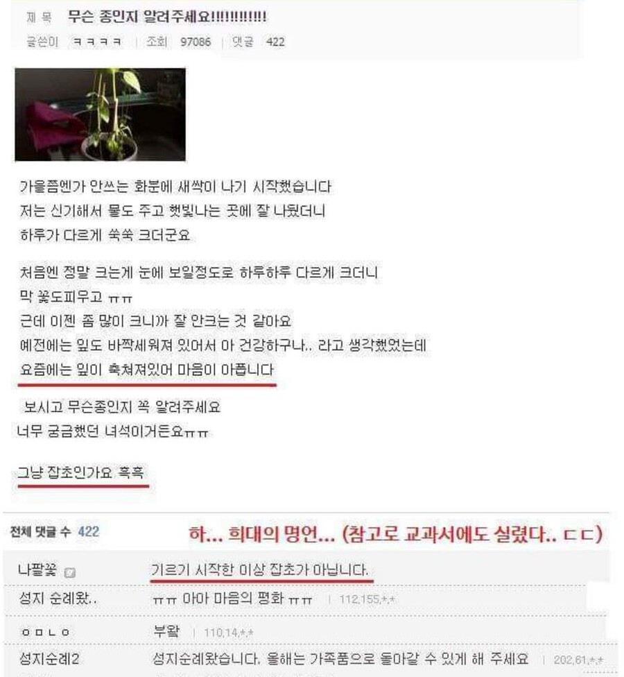장문) 어째서 혐오커뮤니티 디시는 계속해서 커지는가?_11.jpeg