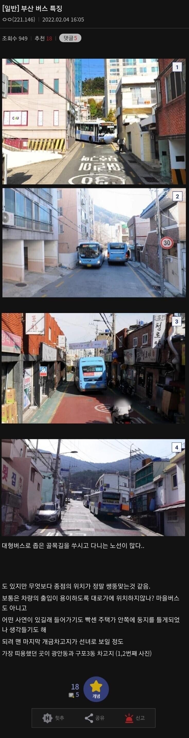 서울 사람은 모르는 부산 버스 특징jpg