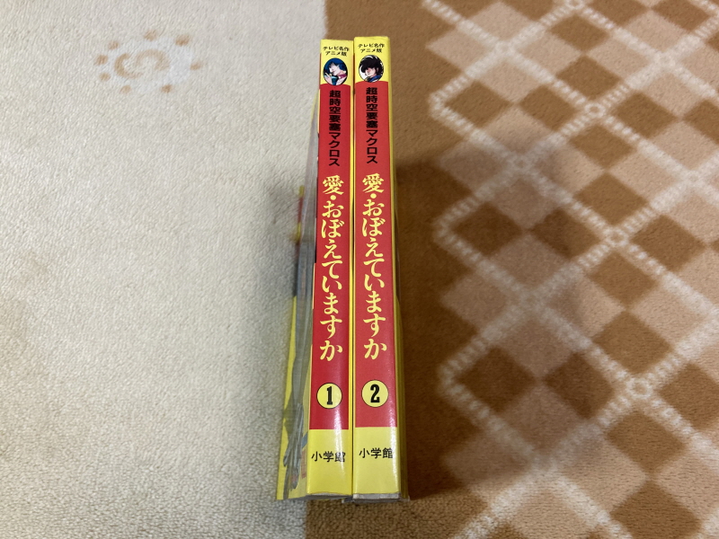 마크로스 "사랑, 기억하고 있습니까?" 음악편(LP) & 레트로 아이템~_87.jpg