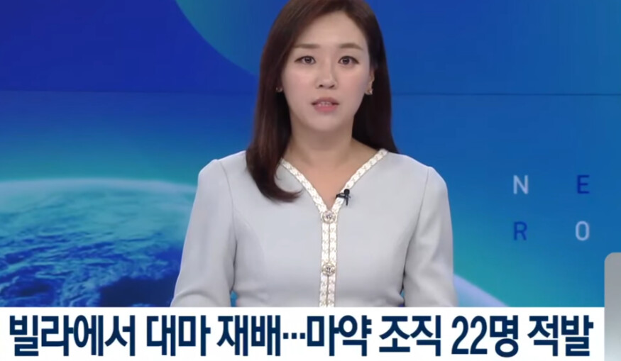 도심 빌라에서 뿅뿅 재배하다 걸림. | 유머 게시판 도심 빌라에서 뿅뿅 재배하다 걸림. | 유머 게시판 | 루리웹