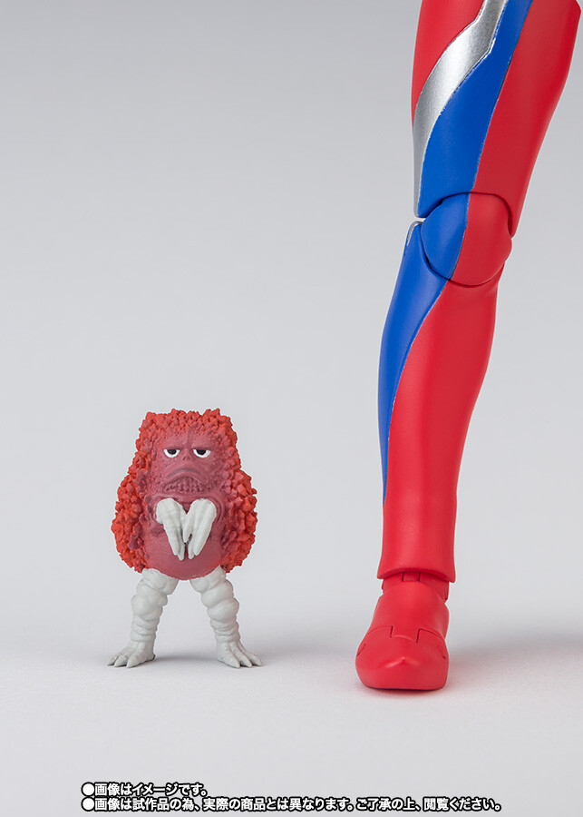 [반다이 혼웹 상점] S.H.Figuarts 텍터기어 제로 추가 이미지_10.jpg