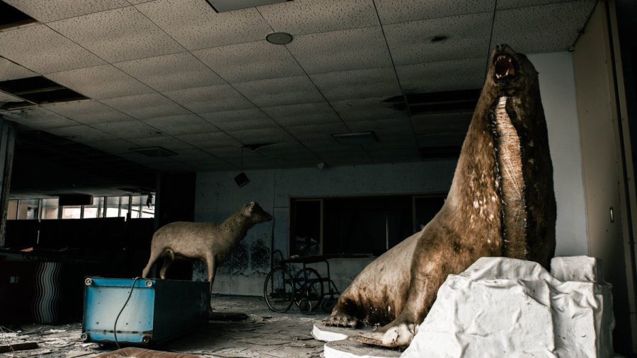 [약간 혐오] 일본, 폐건물 내의 박제들_3.jpg