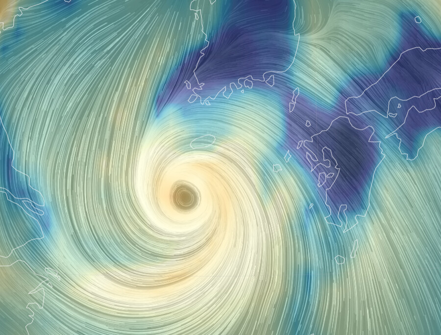 힌남노)제주도 사는 게이들 괜찮냐??_1.png
