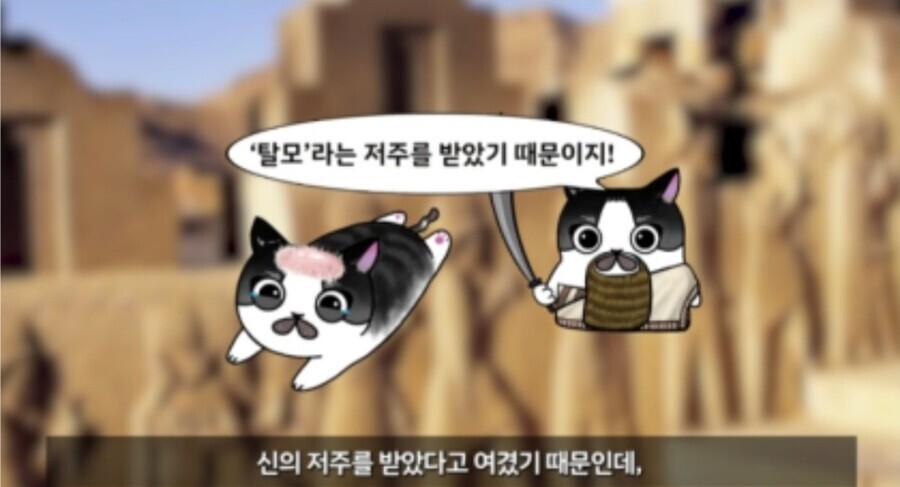 탈모) 신의 저주가 맞는거 같긴한데_2.jpeg