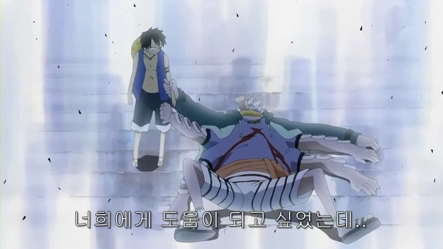 원피스) 하찌가 욕을 먹지 않는 이유_14.jpg