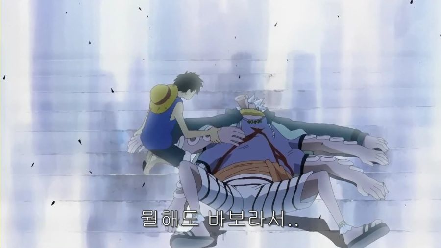 원피스) 하찌가 욕을 먹지 않는 이유_16.jpg