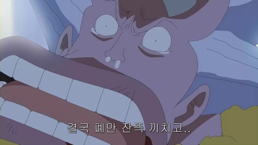 원피스) 하찌가 욕을 먹지 않는 이유_19.jpg