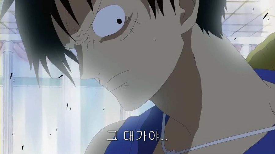 원피스) 하찌가 욕을 먹지 않는 이유_11.jpg