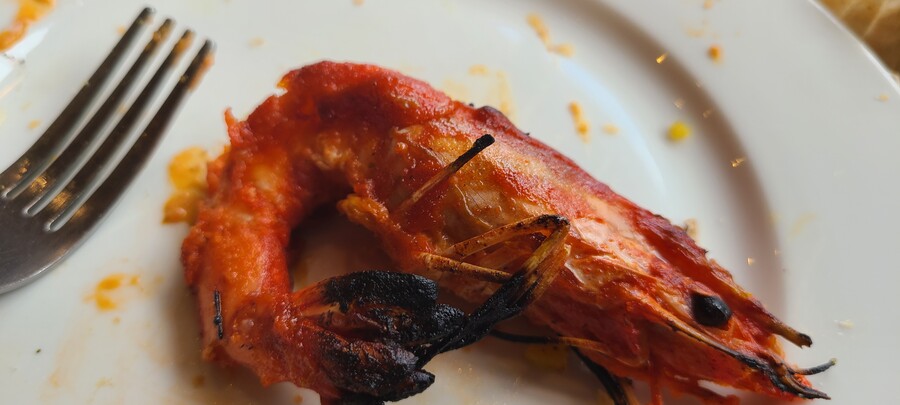 인도요리 첫경험 (기타 출연 무지개)_23.jpg