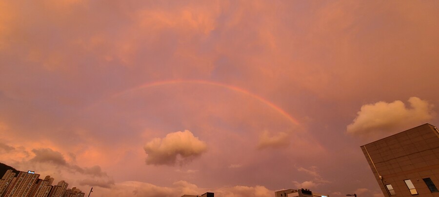 인도요리 첫경험 (기타 출연 무지개)_27.jpg