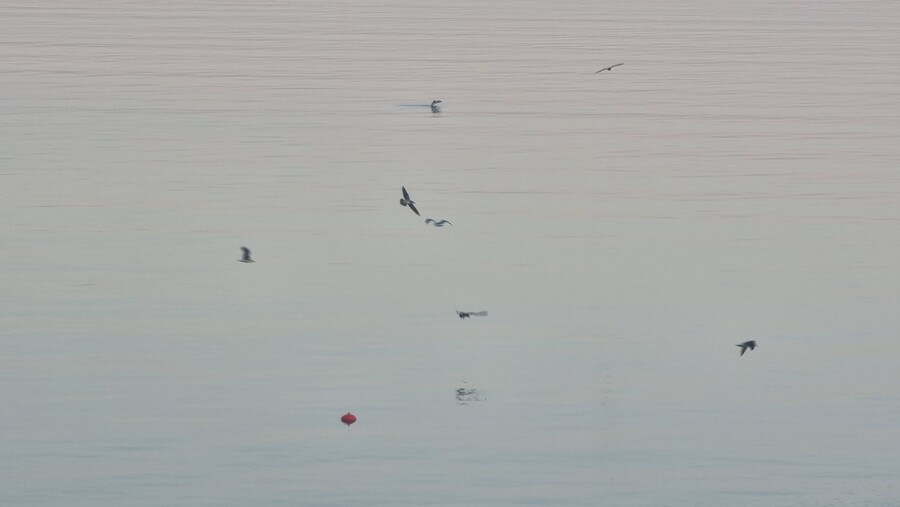 가을 고성(경남) 바다 사진_2.jpg