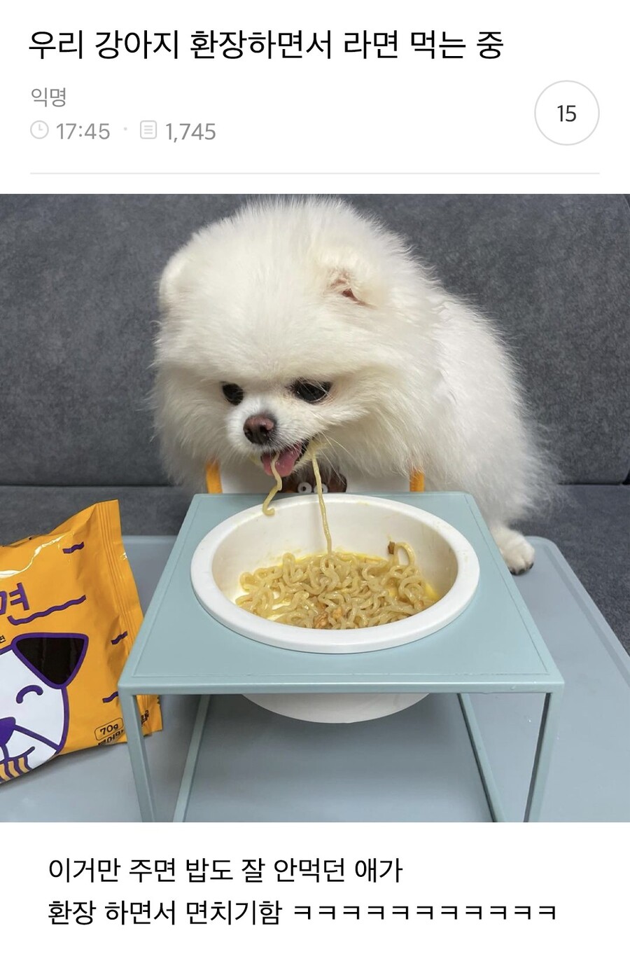 댕댕이들 전용 라면_1.jpeg