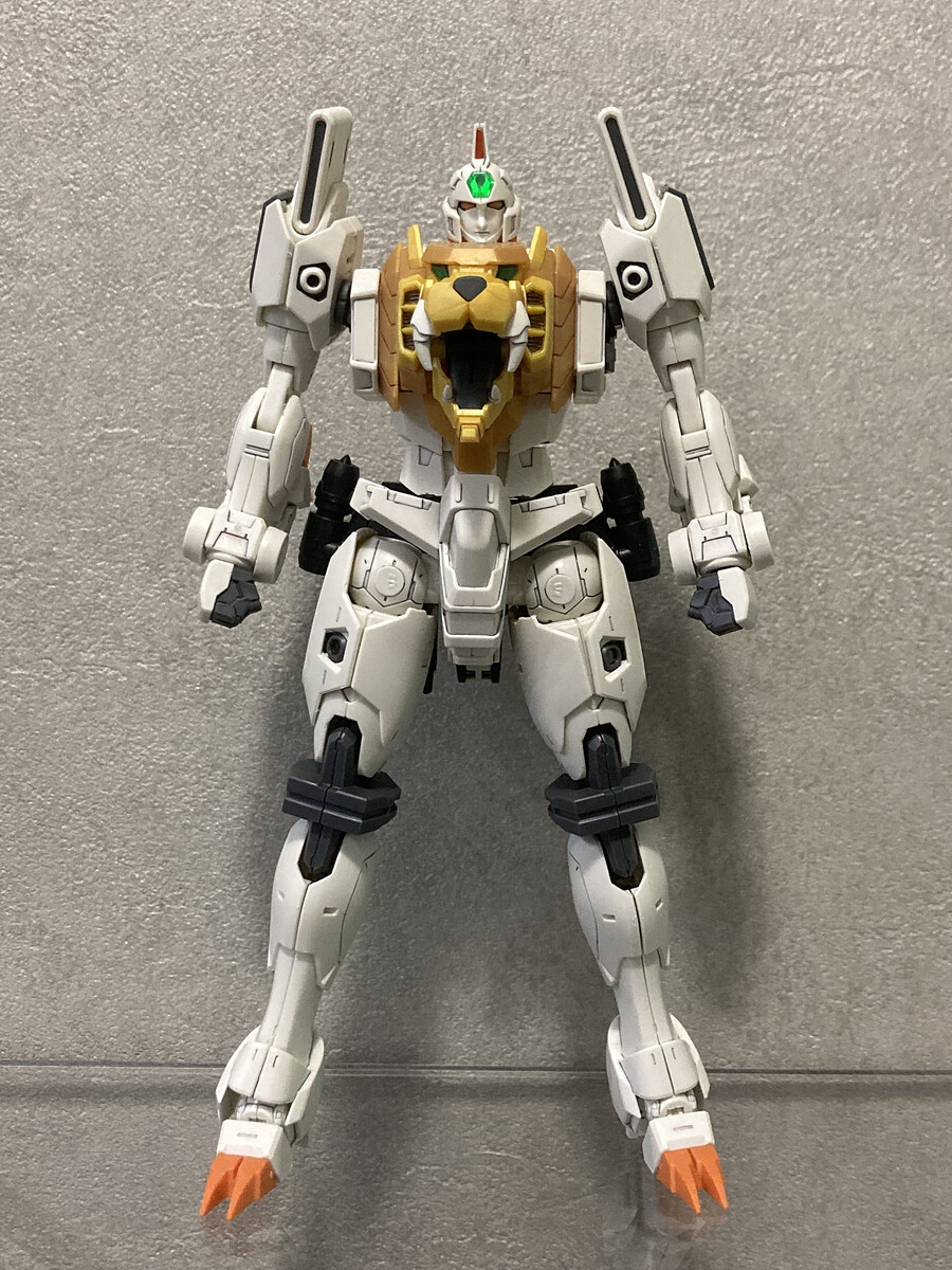 RG 가오가이가 소개 및 변형 팁_8.png