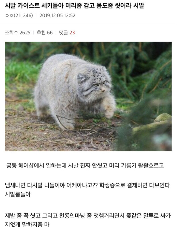카이스트 학생에게 빡친 미용사_1.png