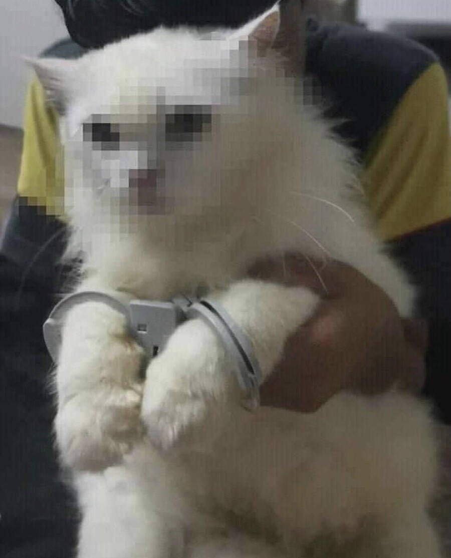 부기영화 피키캐스트 시절 리뷰들.archive_2.jpg