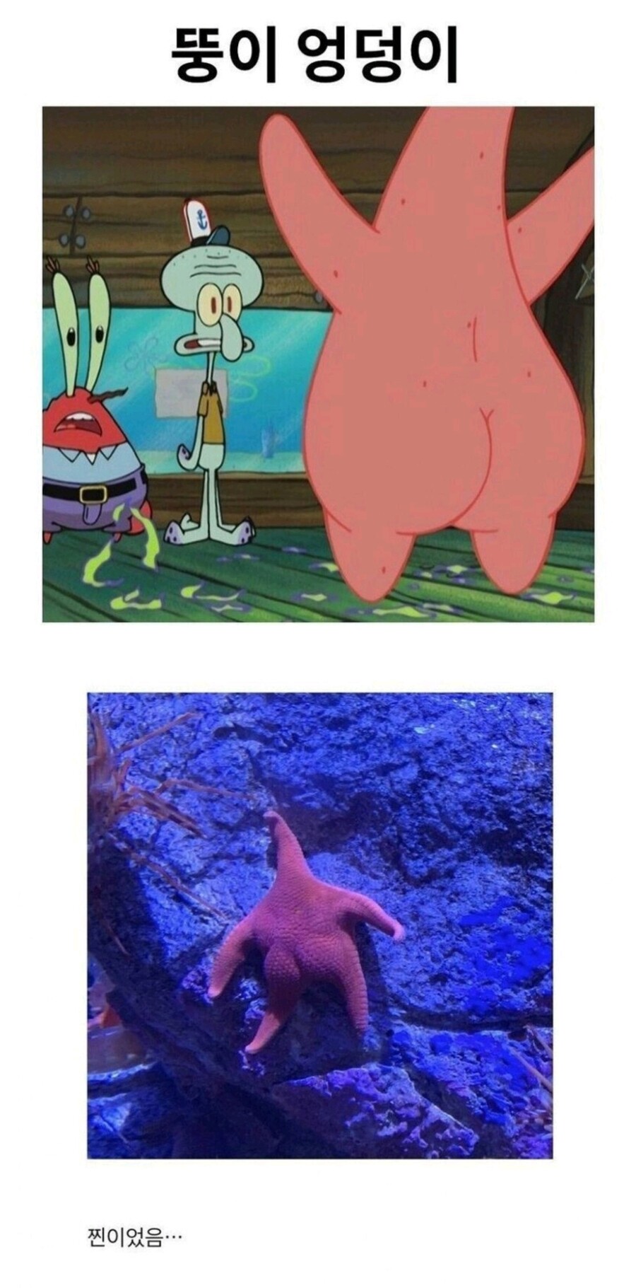 의외로 고증을 철저히 지킨 애니_3.jpg