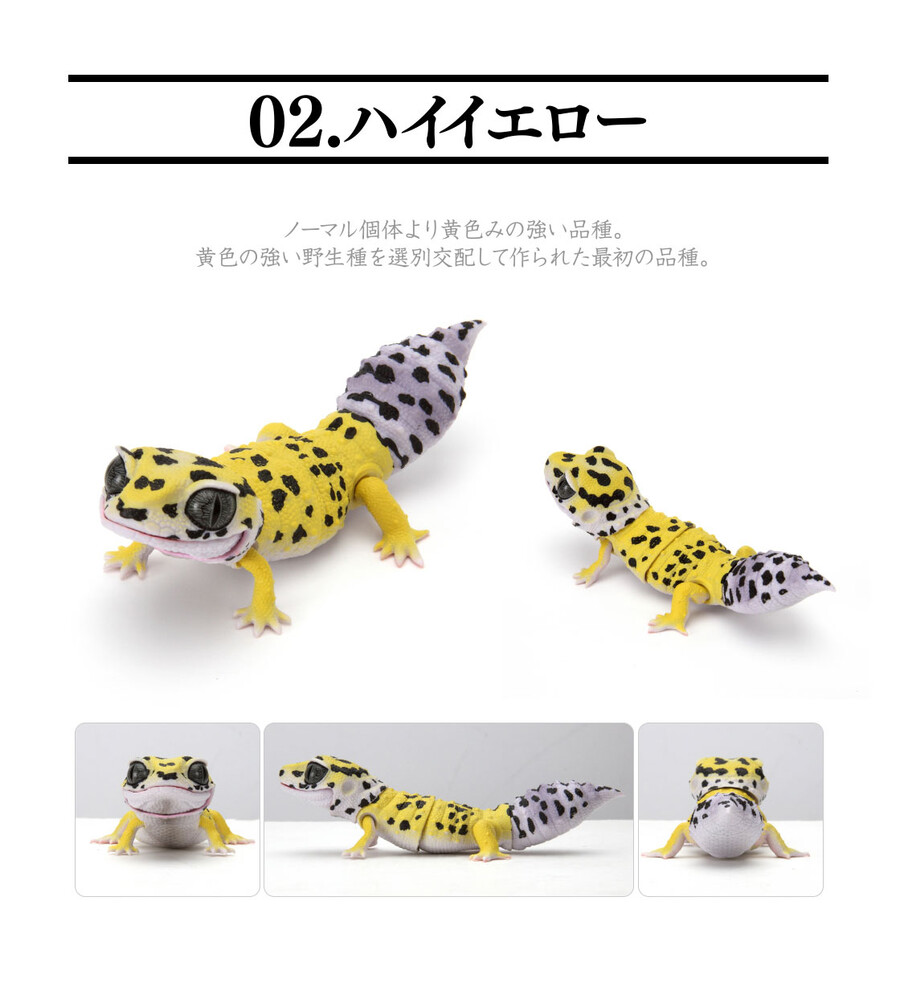레쁘띠 이미지