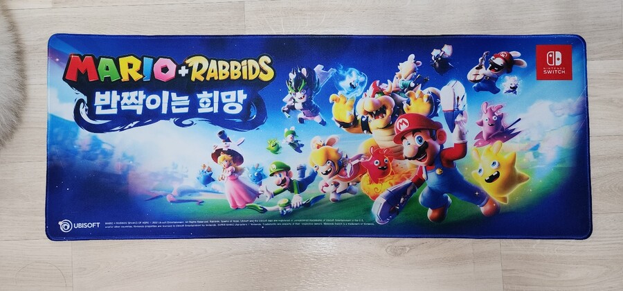 마리오 + 래비드 반짝이는 희망_8.jpg