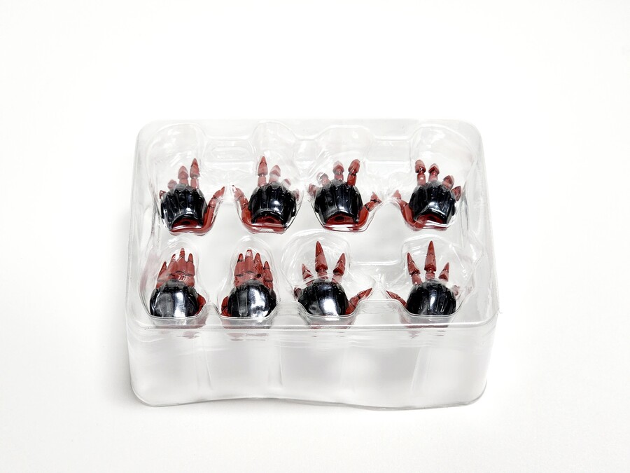 [CCS TOYS] 라젠간 #이 순간을 기다렸다!!_19.jpg