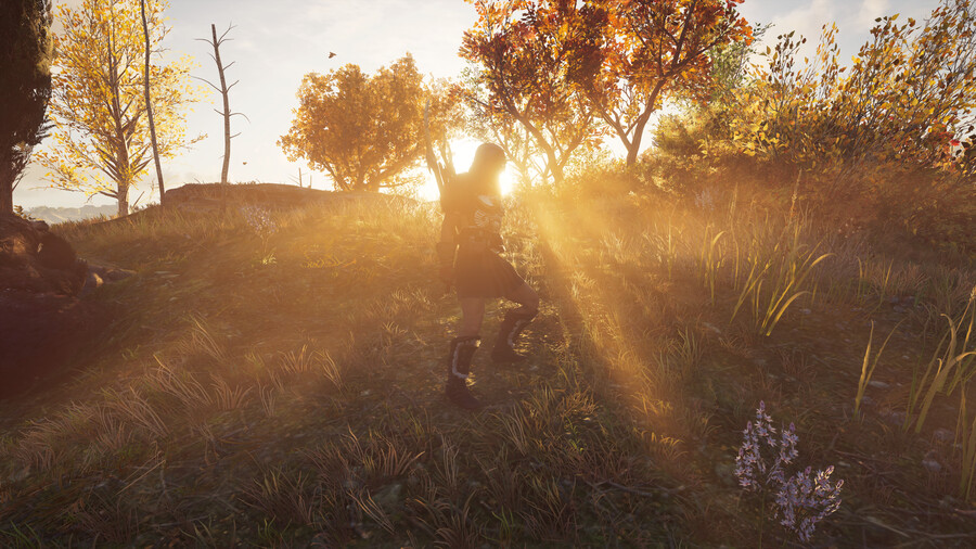 1년만에 해보는 게임 퀄리티가 대단하다!(어쌔신 크리드 오디세이)_18.jpg