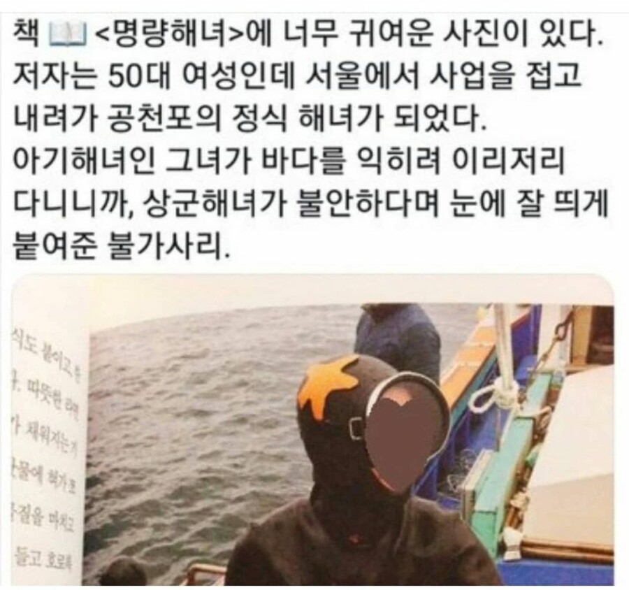 베스트에 인턴해녀 뭐였냐_1.jpg