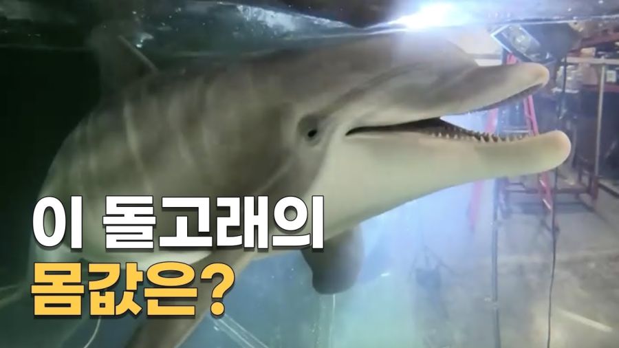 여기가 루리웹 중고장터 입니다~_1.jpg