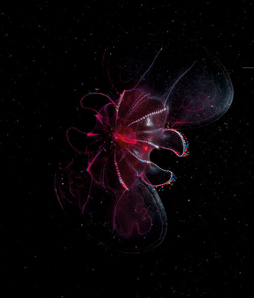 [심해] 개정판 (추가)_4.jpg