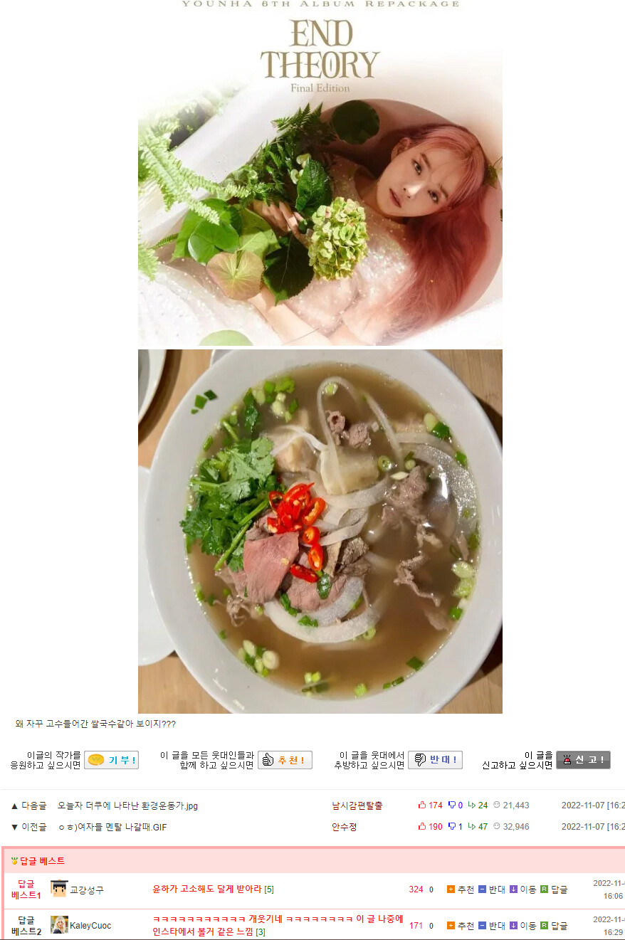 윤하 쌀국수 밈 근황.jpg_1.png