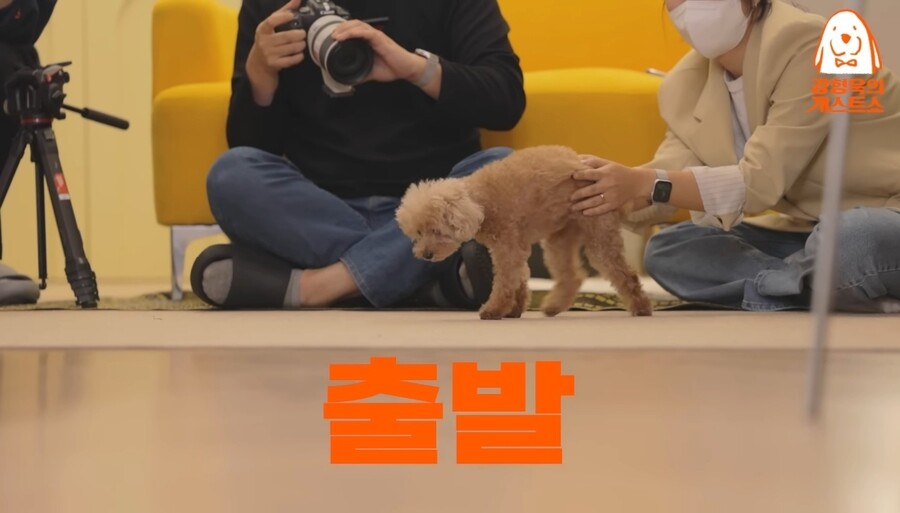 개) 강형욱 vs 안소희 10년 키운 반려견의 선택은? ㅋㅋㅋㅋㅋㅋ_9.jpg