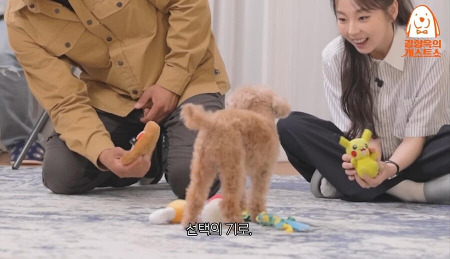 개) 강형욱 vs 안소희 10년 키운 반려견의 선택은? ㅋㅋㅋㅋㅋㅋ_14.jpg