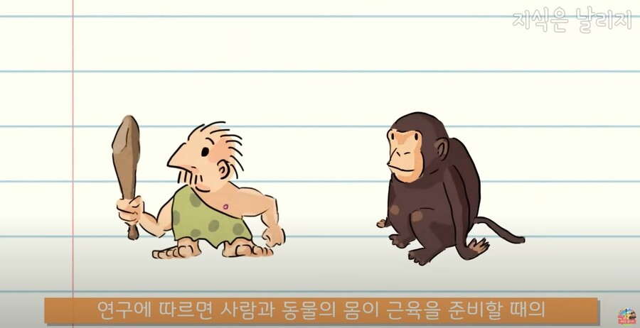 동물과 인간의 근육 차이점.JPG_13.jpg