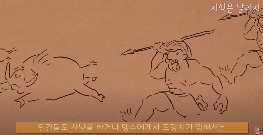 동물과 인간의 근육 차이점.JPG_62.jpg