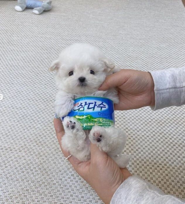 삼다수 병 버릴때 라벨 제대로 뜯어야 하는 이유_3.jpg