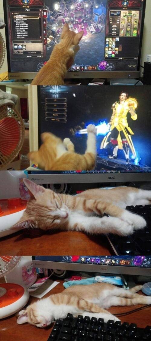 불면증 있는 분들에게 추천 게임.jpg_1.jpg