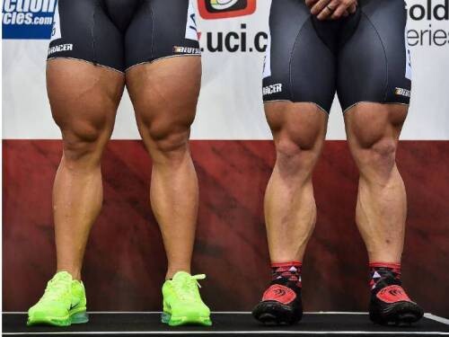 사이클 선수의 하체.jpg_1.jpg