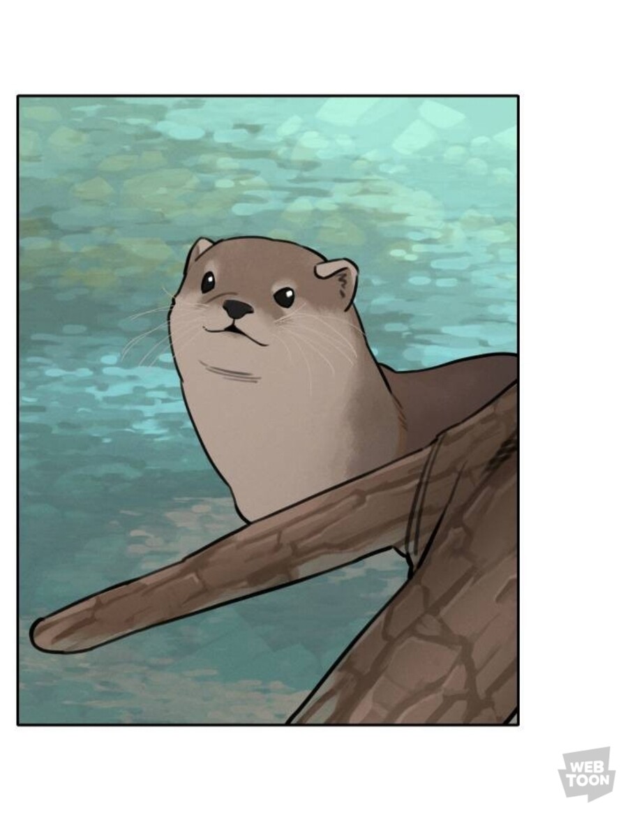 호랑이 들어와요) 야생의 수달이 나타났다!_4.jpg