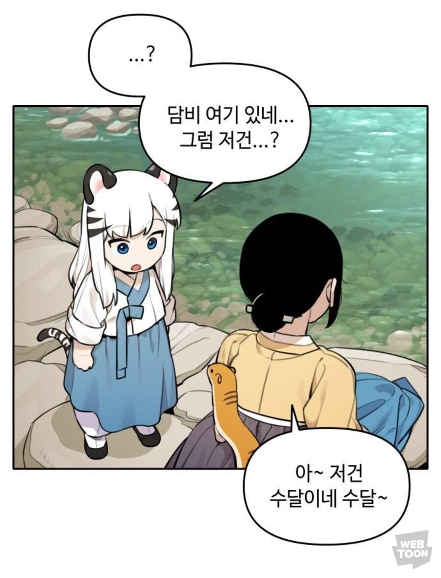 호랑이 들어와요) 야생의 수달이 나타났다!_6.jpg