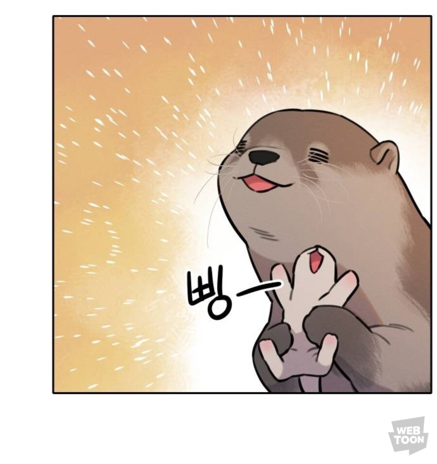 호랑이 들어와요) 야생의 수달이 나타났다!_15.jpg