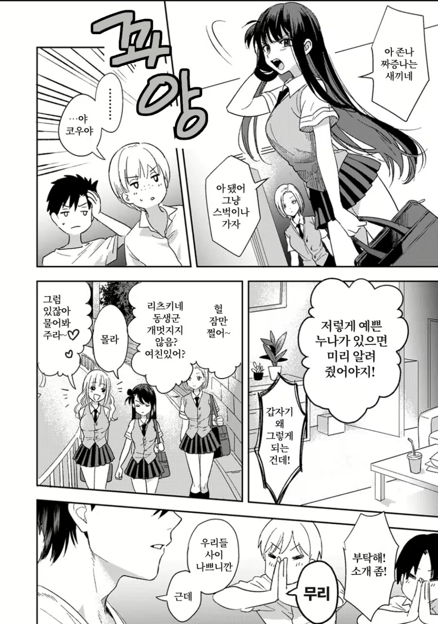 평범한 사이나쁜 남매 만화_2.jpg