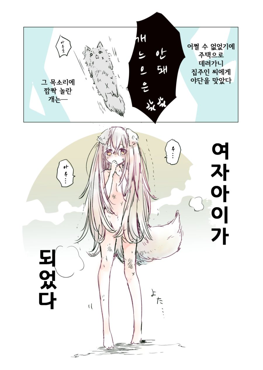 늑대2.png