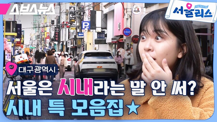 지방은 다 시내라는 말 쓴다
