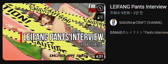 doa6 캐릭터 포즈질문_1.png