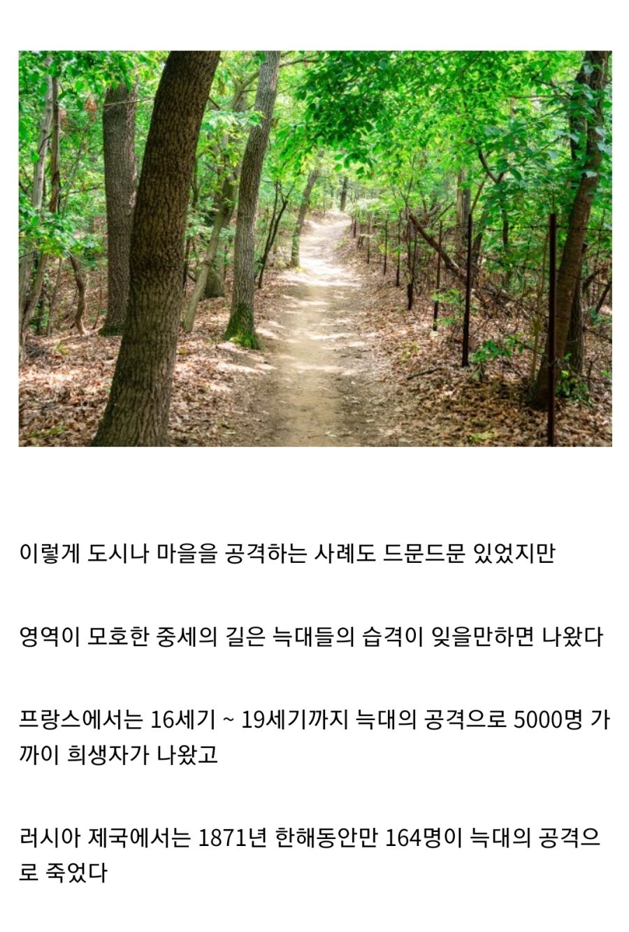 중세 유럽을 공포에 빠트린 인류의 적 "늑대"_6.jpg