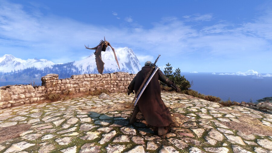 포토 모드 위쳐 스샷 #4 (삭풍과 눈의 나라, 스켈리게)_25.jpg