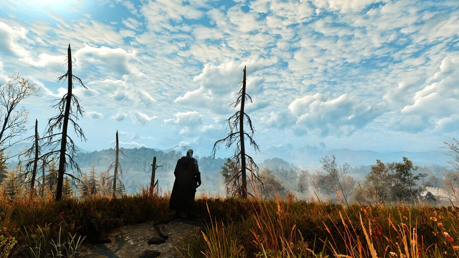 포토 모드 위쳐 스샷 #4 (삭풍과 눈의 나라, 스켈리게)_28.jpg