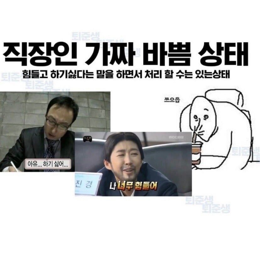 직장인의 가짜와 진짜 바쁨 상태_1.jpg